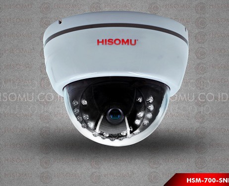 Camera Hisomu HSM-700-SNE SONY EFFIO CCD 700 TVL
